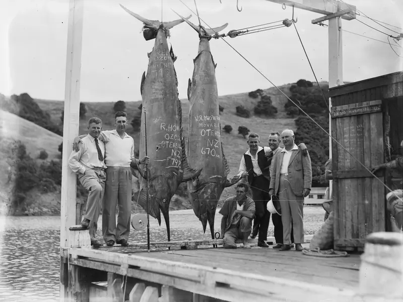 Foto de 1939 en Nueva Zelanda con dos marlines grandes colgados de una báscula en un muelle junto a sus pescadores