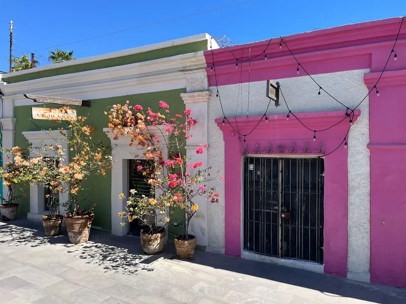 Colorful painted facades and bougainvillea on a street in San José del Cabo