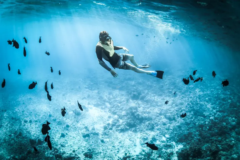 Una persona haciendo snorkel sobre un arrecife con cardúmenes de peces en agua clara