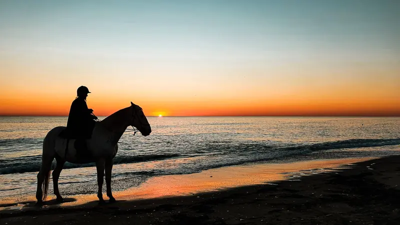 A rider on a horse at the water edge on a beach at sunset