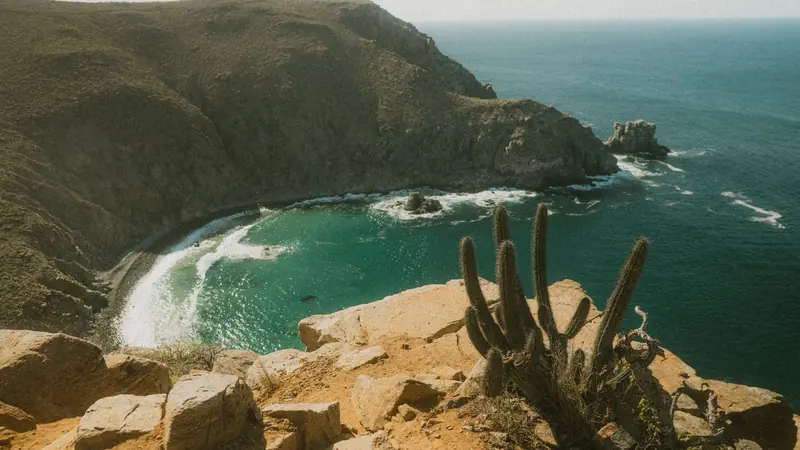Acantilados rocosos, un cactus y una caleta de agua turquesa en una costa desértica