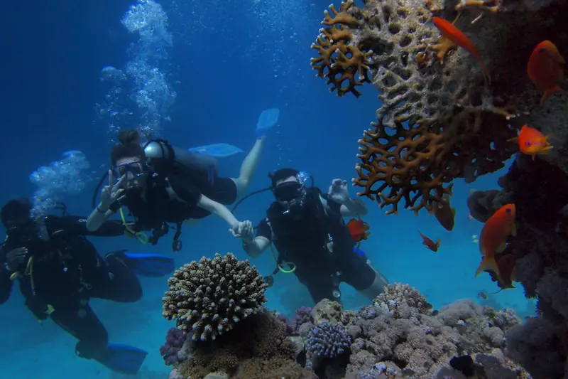 Three scuba divers swimming beside a coral reef with orange fish
