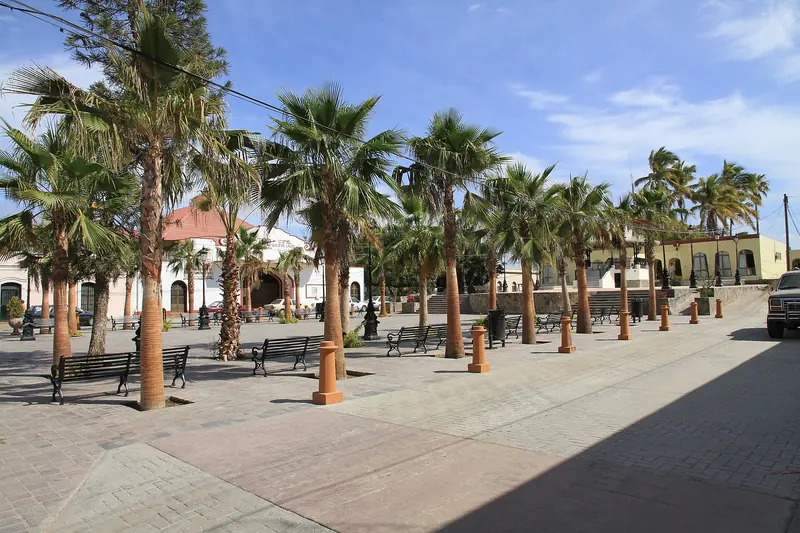 Plaza del centro de Todos Santos con palmeras, bancas y edificios bajos al fondo