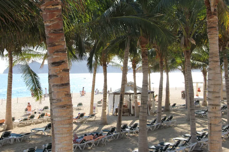 The beach in front of Riu Palace Cabo San Lucas