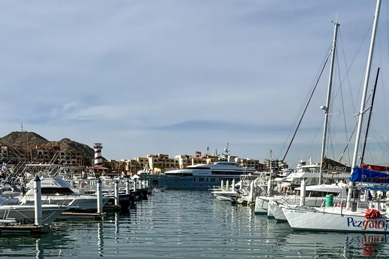 Boats in the Cabo San Lucas marina, November 2024