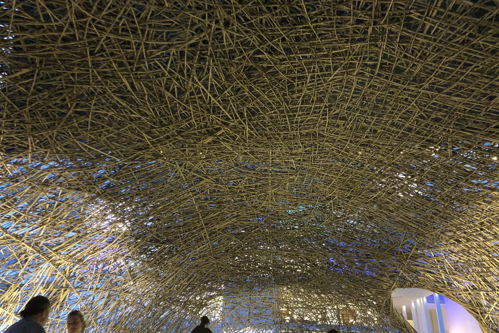 El restaurante Nido del Viceroy Los Cabos, un nido tejido con varillas de acero y ramas de manglar