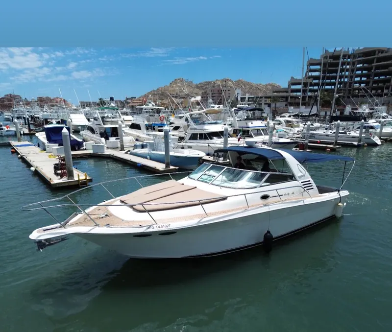 Sea Ray 36, yate tipo express en renta privada en Cabo San Lucas