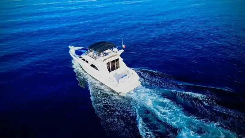 Temporada de ballenas en yate privado en Cabo San Lucas