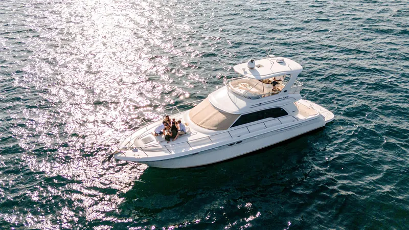 Sea Ray 55